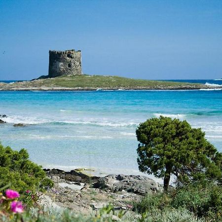 Vacanze Sardegna Appartement Santa Teresa Gallura Buitenkant foto